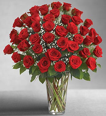 Ultimate Elegance Premium Long Stem Red Roses 48 Stem