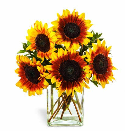 Sunshine Daydream™ Bouquet