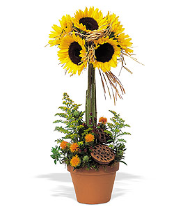 Sunflower Topiary.
