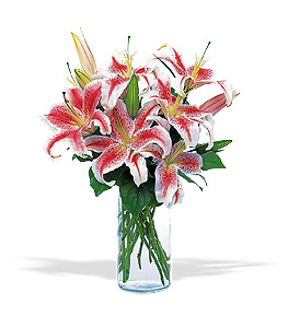 Lovely Lilies.