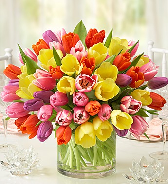 Assorted Tulips, 60 Stems