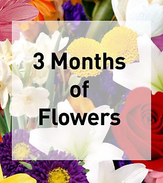 Monthly Flower Gift Plan