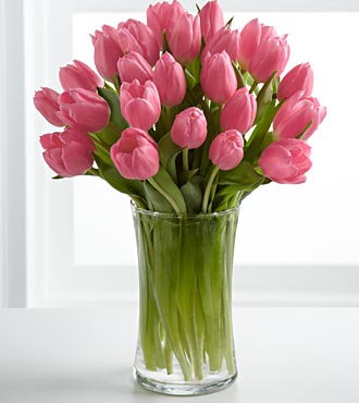Pink Prelude Tulip Bouquet - 25 Stems - VASE INCLUDED