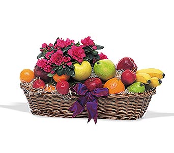 Plant and Fruit Basket.