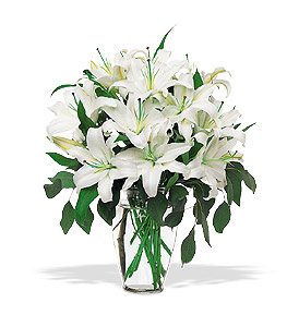 Perfect White Lilies.